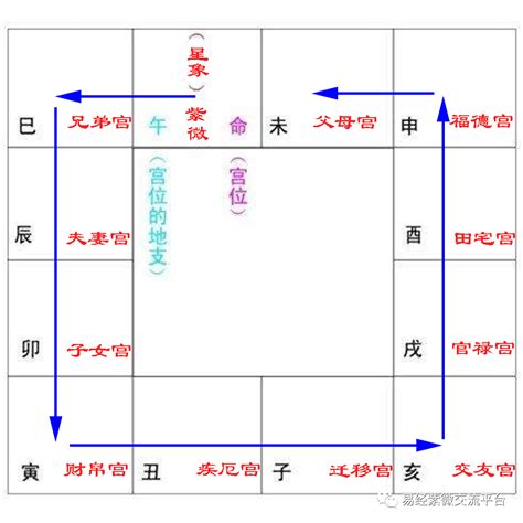 兄弟宮看房產|紫微斗數看房產 兄弟宮有化祿或化權房產多